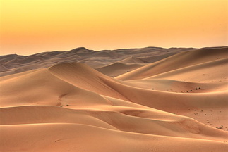 Dawn in the desert