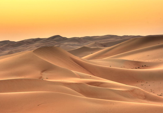 Dawn in the desert