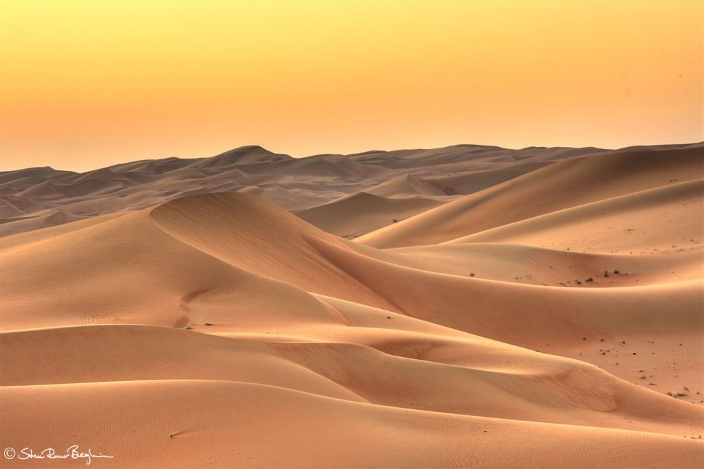 Dawn in the desert