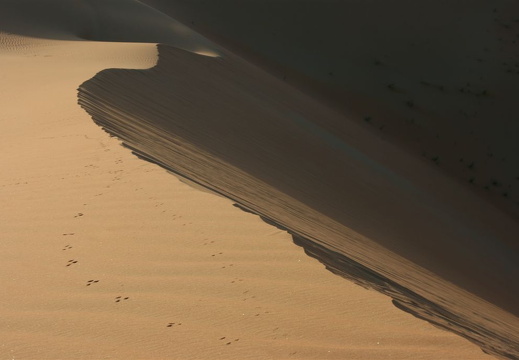 Dune ridge