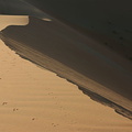 Dune ridge