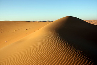 Dune