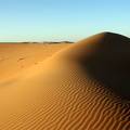 Dune