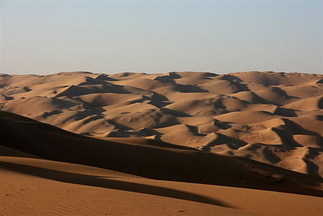 Dune landscape