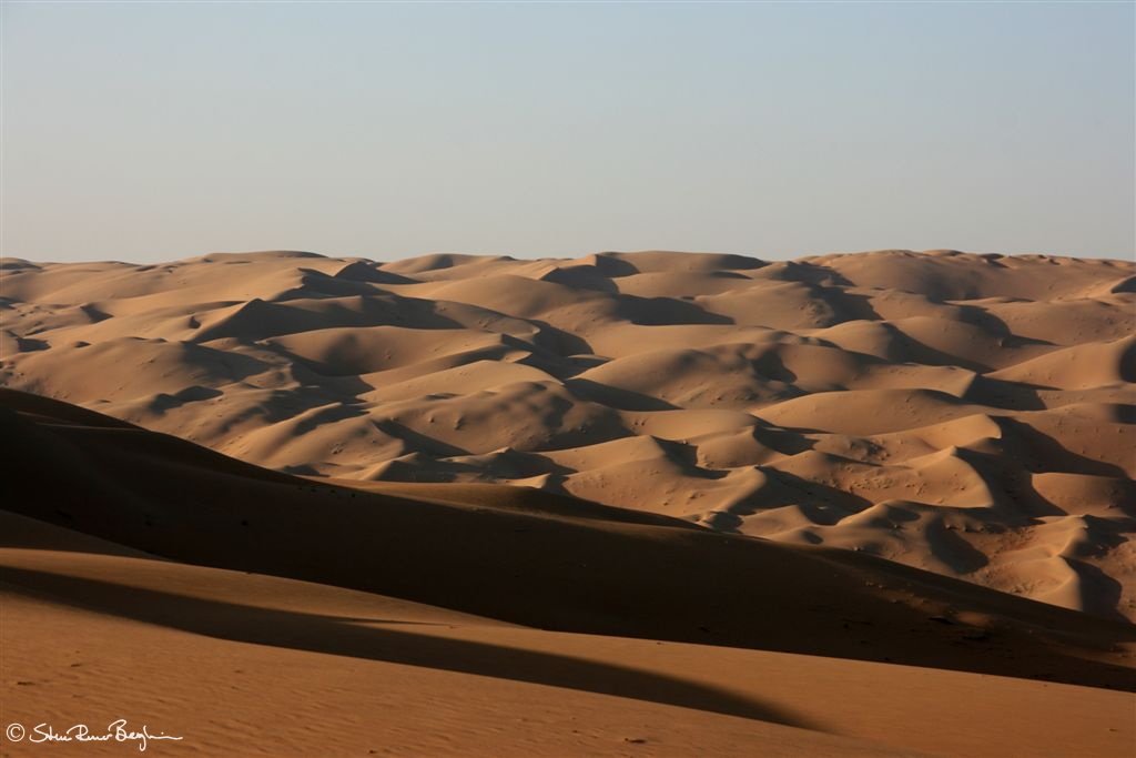 Dune landscape