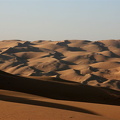 Dune landscape