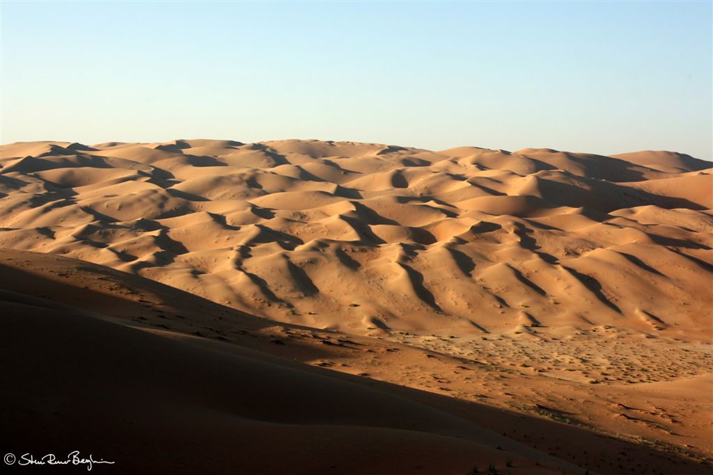 Dune landscape