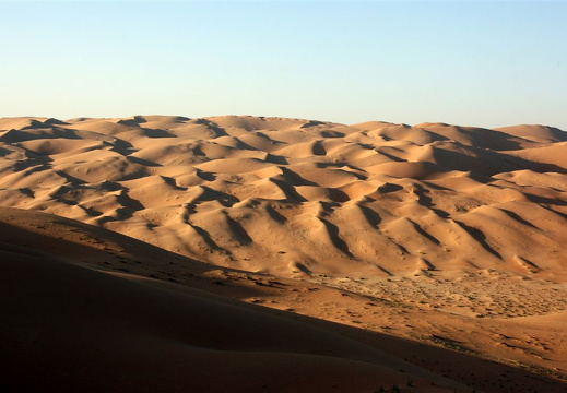 Dune landscape