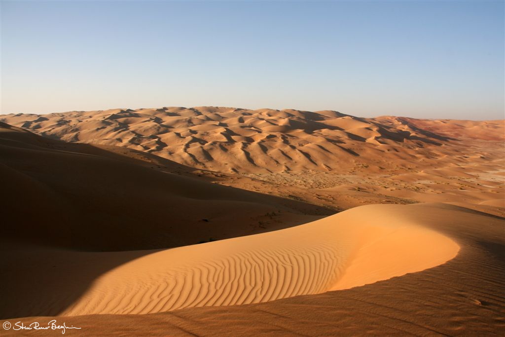 Dune landscape
