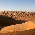 Dune landscape