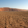 Tal Moreeb dune racing field