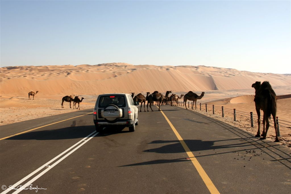 Camel road bloackade