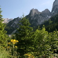 IMG_3611