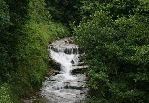 IMG_3740
