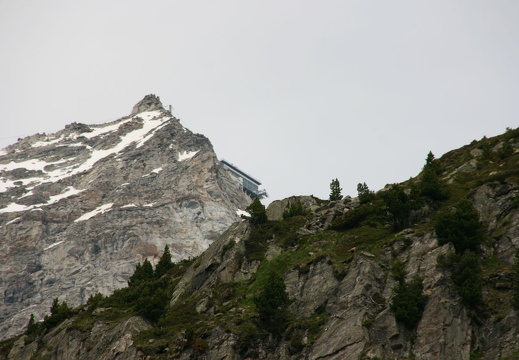 IMG_4149