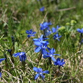 IMG_4478