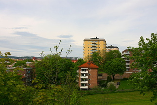 IMG_3143