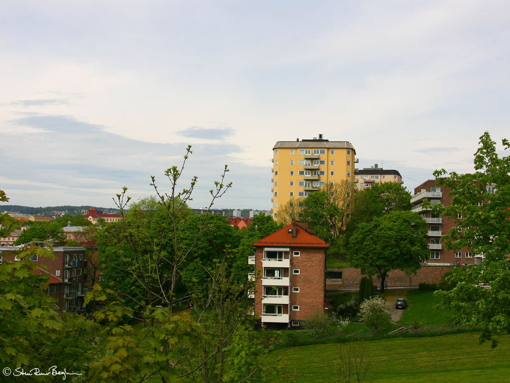 IMG_3143