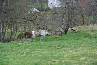 IMG_1838
