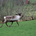 IMG_1882