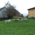 IMG_1900