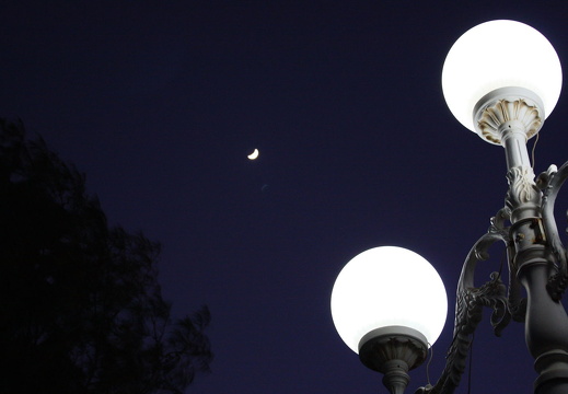 Moon (and street) light over Arabia
