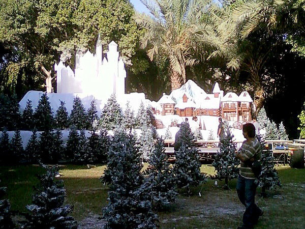 Photo-0002