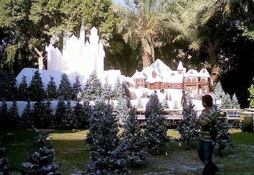 Photo-0002