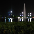 IMG_0790