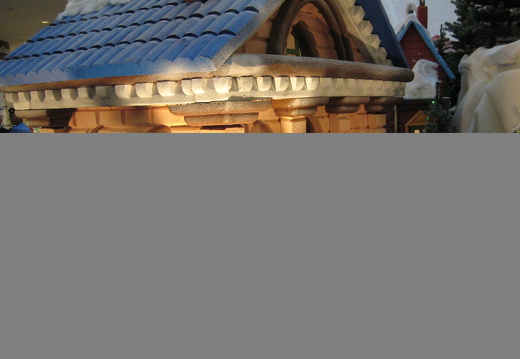 IMG_0800