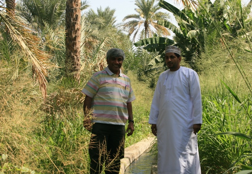 By the Falaj