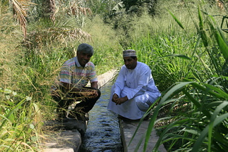 IMG 7078