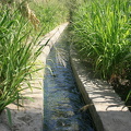 IMG 7081