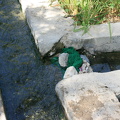 IMG 7082