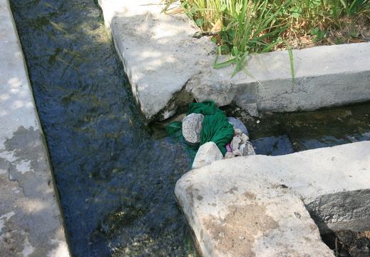 IMG 7082