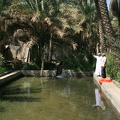 IMG 7089