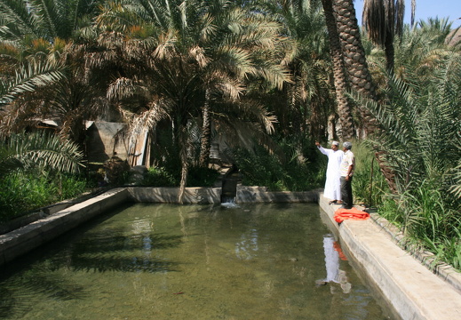IMG 7089