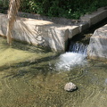 IMG 7092