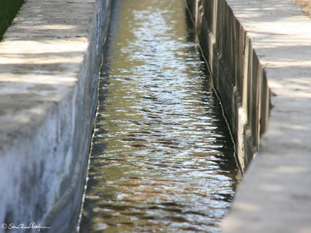 IMG 7106