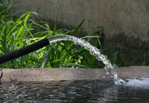 IMG 7140