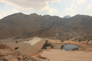 IMG 7173