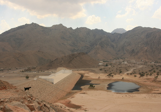 IMG 7173