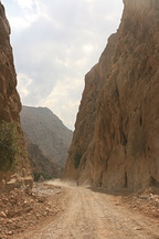 IMG 7177