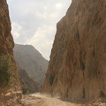 IMG 7177