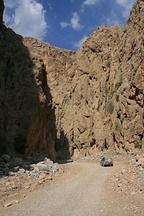 IMG 7183