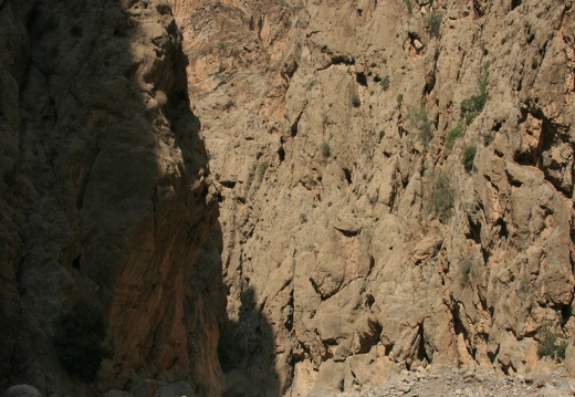 IMG 7183