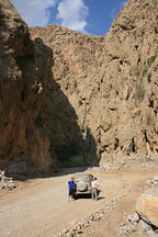 IMG 7185