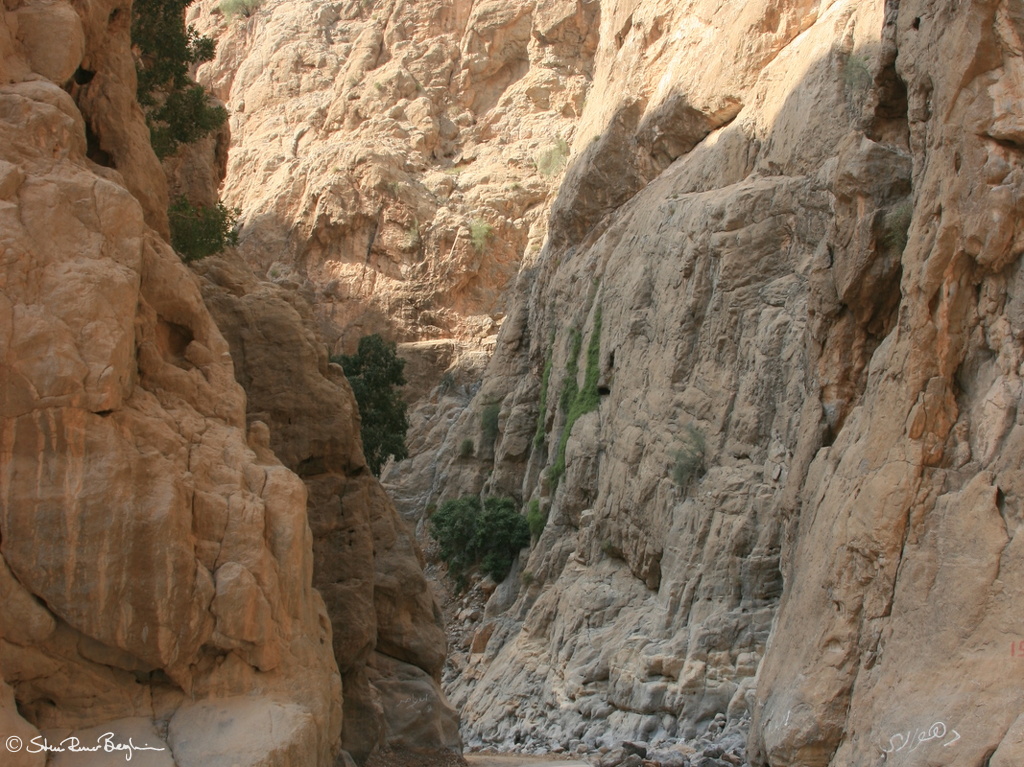 IMG 7189
