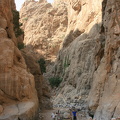IMG 7191