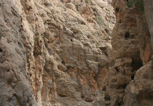 IMG 7194